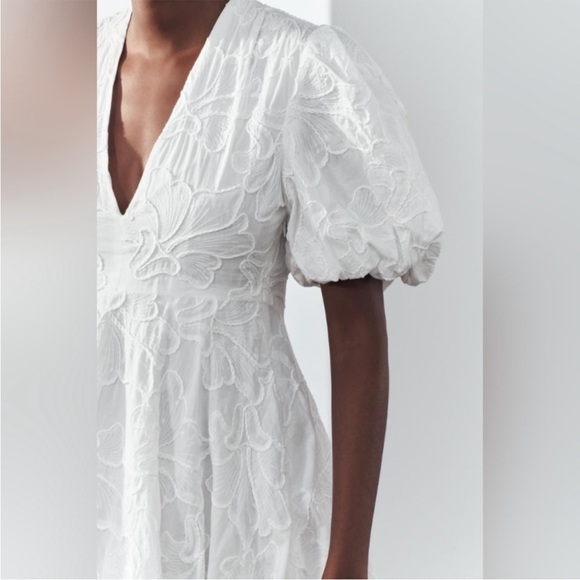 Zara Embroidered Voluminous Dress - Picture 4 of 4